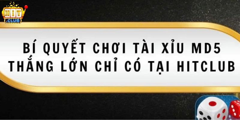 Bí quyết chơi Tài xỉu MD5 HITCLUB thắng lớn